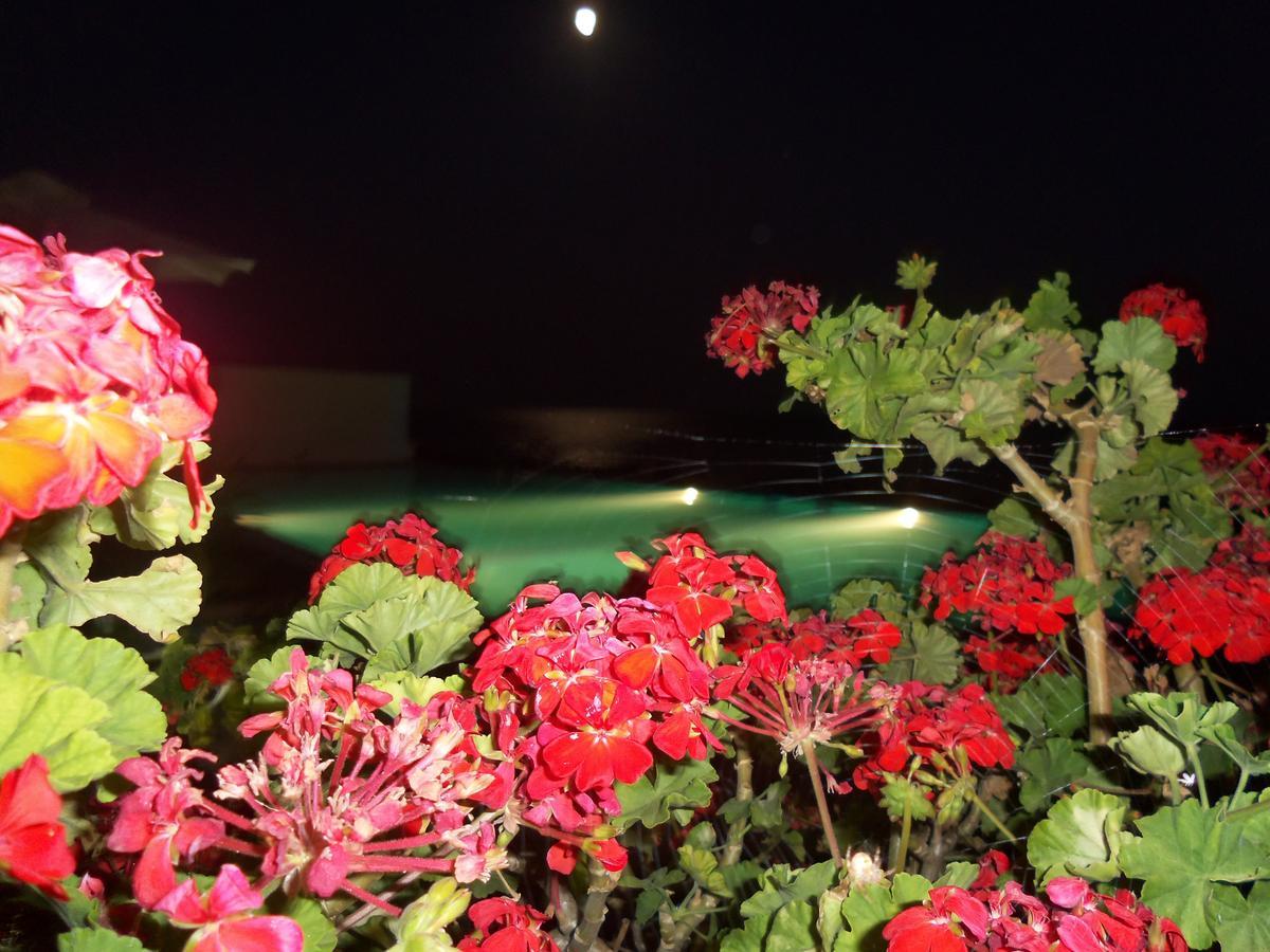 Ionio Star Hotel Koutsouras Exterior photo
