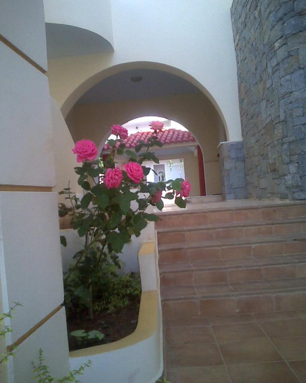 Ionio Star Hotel Koutsouras Exterior photo